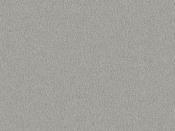 Modena 5N50 hellgrau – rechteckige Draufsicht auf hellgrauen Veloursboden als Meterware